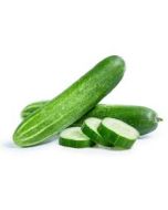 Cucumber